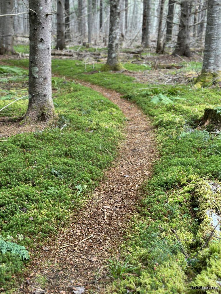 wood mulch alley